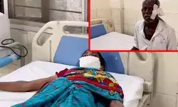 పిచ్చికుక్కలు స్వైర విహారం..  పది మందిపై దాడి