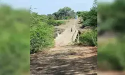 లోలెవల్ వంతెనలు.. తీరని కష్టాలు లోలెవల్ వంతెనలు.. తీరని కష్టాలు