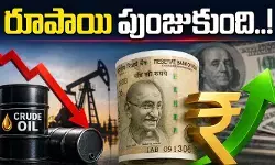 దిగివచ్చిన ముడిచమురు ధరలు.. డాలర్తో పోలిస్తే పుంజుకున్న రూపాయి దిగివచ్చిన ముడిచమురు ధరలు.. డాలర్తో పోలిస్తే పుంజుకున్న రూపాయి