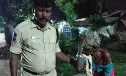 అర్ధరాత్రి ఒంటరిగా తిరుగుతున్న వృద్ధురాలు.. భయాందోళనకు గురైన స్థానికులు.. చివరికి!?