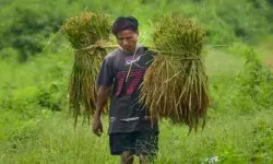 Inflation: ఎల్‌నినో ఎఫెక్ట్‌తో భారత్‌కు కొత్త ఆర్థిక పరీక్ష