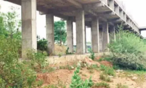 అసంపూర్తి మార్కెట్లు - అలంకారప్రాయంగా ప్రాజెక్టులు