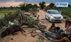 పొలం నుంచి వస్తుండగా దూసుకొచ్చిన కారు.. ఎడ్లబండిని ఢీకొట్టడంతో రైతు మృతి