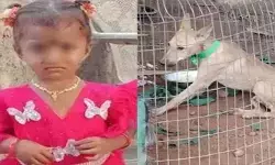 తుని చిన్నారి మిస్సింగ్ కేసు.. పెంపుడు కుక్క మృతిపై ఫోరెన్సిక్ నివేదిక