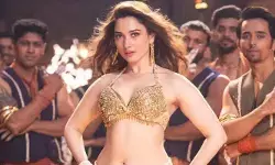 హీరోయిన్స్‌ను గ్లామర్ డాల్స్‌లా చూడొద్దు.. ఐటమ్ అనడం నటి శ్రమను కించపరడమే అంటూ తమన్నా ఫైర్