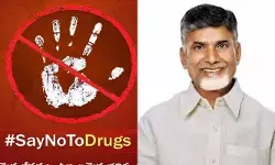 ఏపీలో డ్రగ్స్ మాఫియాపై ఉక్కుపాదం.. ఇకపై జీరో టాలరెన్స్: సీఎం చంద్రబాబు