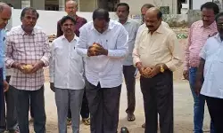 వరంగల్ ఎస్.డి.డి. కాలనీలో  సీసీ రోడ్డుకు శంకుస్థాపన..