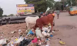పేరుకుపోయిన చెత్తతో ప్రజలు అవస్థలు