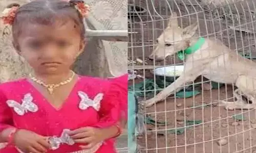 తుని చిన్నారి మిస్సింగ్ కేసు.. పెంపుడు కుక్క మృతిపై ఫోరెన్సిక్ నివేదిక