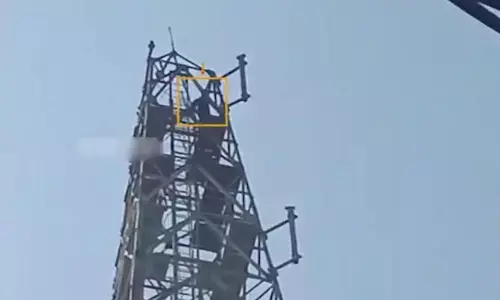 50 ఏళ్ల ప్రియురాలి కోసం టవరెక్కిన 30 ఏళ్ల యువకుడు