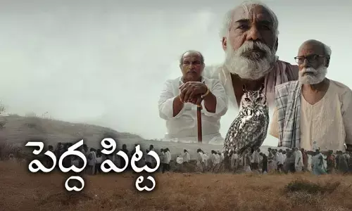 గుడ్లగూబ కనిపిస్తే చావేనా? ఆలోచింపజేసే లఘు చిత్రం