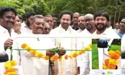 ‘కట్’ చేసిన కాసేపటికే పగుళ్లు.. తప్పిన ప్రమాదం!
