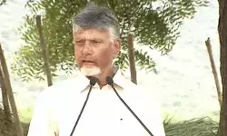 వారి త్యాగం చిరస్మరణీయం.. పునరావాసం కల్పిస్తాం: సీఎం చంద్రబాబు