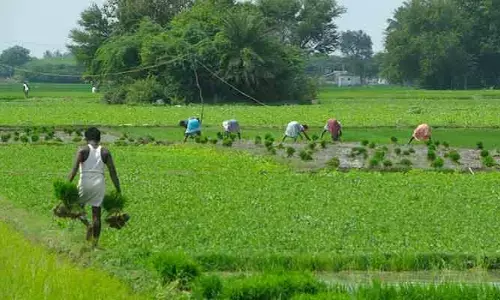 వ్య(వసా)యం