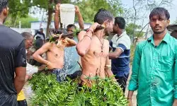 వర్షాల కోసం కప్పతల్లి ఆటలు.. వరుణుడి కోసం వినూత్న పూజలు!