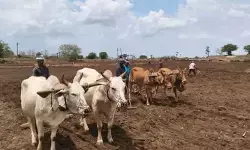 తొలకరి పలకరింపు.. పొలం బాట పట్టిన రైతన్న