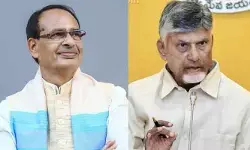 తోతాపురి మామిడి రైతులను ఆదుకోండి.. కేంద్రానికి సీఎం చంద్రబాబు కీలక లేఖ