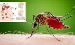 వణికిస్తున్న ‘సెరిబ్రల్ మలేరియా’.. జార్ఖండ్‌లో ముగ్గురు చిన్నారులు మృతి