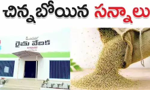 వరి సన్న విత్తనాలు కొనేందుకు ఆసక్తి చూపిన రైతులు