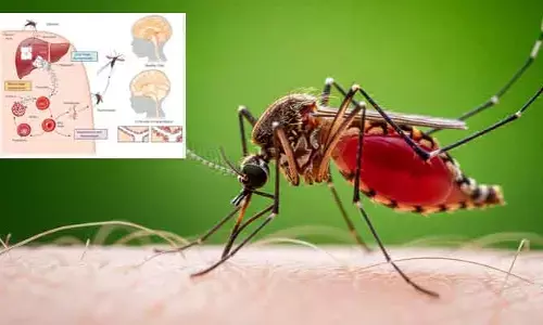 వణికిస్తున్న ‘సెరిబ్రల్ మలేరియా’.. జార్ఖండ్‌లో ముగ్గురు చిన్నారులు మృతి