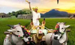 ఇవాళ‌ రైతన్నల పండుగ ‘ఏరువాక’.. ప్ర‌త్యేక‌త‌లు ఏంటంటే ?