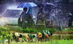 జిల్లా వ్యాప్తంగా జోరు వాన.. రైతుల్లో చిగురించిన ఆశలు