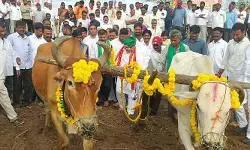 ఏరువాక పౌర్ణమి వేడుకల్లో పాల్గొన్న మంత్రి పొన్నం.. నాగలి పట్టి దుక్కి దున్నిన వైనం