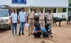 జనగామ పోలీసుల వలలో పశువుల దొంగల ముఠా