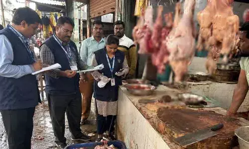 ఈగల మోత.. దుర్వాసన