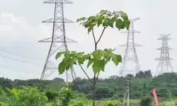 పేదలపై ‘హై టెన్షన్‌’ పిడుగు..