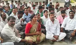 జొన్నలు కొనలేని దౌర్భాగ్య స్థితిలో ప్రభుత్వం