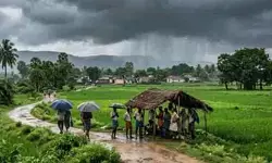 వర్షాలతో చిగురించిన ఆశలు.. పొలం బాట పట్టిన రైతన్నలు!