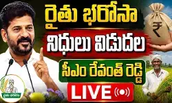 తెలంగాణ రైతులకు గుడ్‌న్యూస్.. రైతు భరోసా నిధులు విడుదల