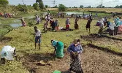 చరిత్ర పుటల్లోకి ఉపాధి హామీ పథకం.. దేశవ్యాప్తంగా అమల్లోకి వచ్చిన జీ రామ్ జీ చట్టం చరిత్ర పుటల్లోకి ఉపాధి హామీ పథకం.. దేశవ్యాప్తంగా అమల్లోకి వచ్చిన జీ రామ్ జీ చట్టం
