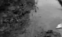 కంపు కొడుతున్న కొత్త మల్లూరు డ్రైనేజీ.. కంపు కొడుతున్న కొత్త మల్లూరు డ్రైనేజీ..