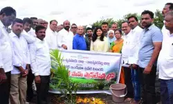ఆయిల్ పామ్ సాగుకు రైతులు ముందుకు రావాలి