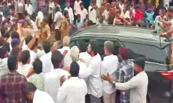 వైసీపీ నేతలపై చర్యలు తీసుకోవద్దు: ఏపీ హైకోర్టు వైసీపీ నేతలపై చర్యలు తీసుకోవద్దు: ఏపీ హైకోర్టు