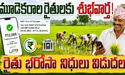 మూడెకరాల రైతులకు శుభవార్త.. ‘రైతు భరోసా’ నిధులు విడుదల మూడెకరాల రైతులకు శుభవార్త.. ‘రైతు భరోసా’ నిధులు విడుదల