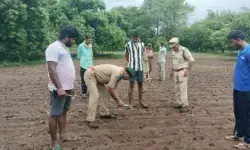 గూడూరు మండలంలో చిరుతపులి సంచారం కలకలం గూడూరు మండలంలో చిరుతపులి సంచారం కలకలం
