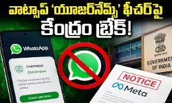 వాట్సాప్ ‘యూజర్‌ నేమ్స్’ ఫీచర్‌పై కేంద్రం బ్రేక్.. మెటా సంస్థకు నోటీసులు జారీ!