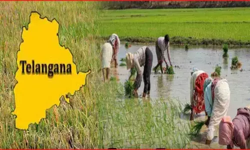 తెలంగాణలో పడిపోయిన పంటల సాగు.. సగం కూడా దాటని పరిస్థితి