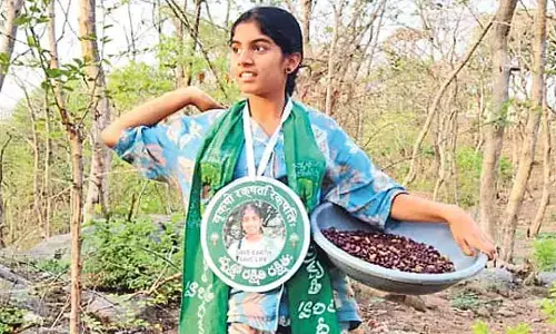 చిన్న వయసులోనే పెద్ద సంకల్పం: 2.50 లక్షల సీడ్ బాల్స్ విసిరిన సిరిసిల్ల చిన్నారి