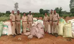ఫీల్డ్ అసిస్టెంట్ కేతావత్ రాజేష్ వ్యవసాయ పొలంలో నల్ల బెల్లం ఫీల్డ్ అసిస్టెంట్ కేతావత్ రాజేష్ వ్యవసాయ పొలంలో నల్ల బెల్లం