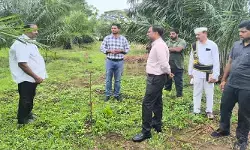 రైతులు ప్రత్యామ్నాయ పంటలపై మొగ్గు చూపాలి :  కలెక్టర్