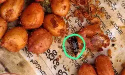 వేయించిన పల్లీల్లో బొద్దింక