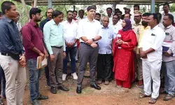 వన మహోత్సవానికి నర్సరీలలో మొక్కలు సిద్ధంగా ఉంచాలి : కలెక్టర్ వన మహోత్సవానికి నర్సరీలలో మొక్కలు సిద్ధంగా ఉంచాలి : కలెక్టర్