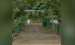 నిర్లక్ష్యపు నీడలో అటవీ అభివృద్ధి