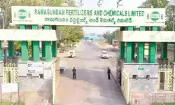 ఆర్ఎఫ్సీఎల్‌లో 94,849 మెట్రిక్ టన్నుల యూరియా ఉత్పత్తి