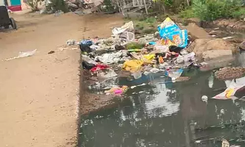 పారిశుధ్యం పై పట్టింపు కరువు..!