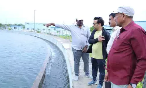ధర్మసాగర్ రిజర్వాయర్‌ను పరిశీలించిన బల్దియా కమిషనర్ టి.వెంకన్న